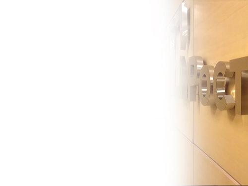 Находим оптимальные решения