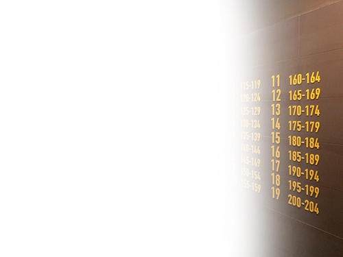 Собственное производство